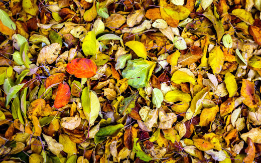 1275665 (a): :2560x1600